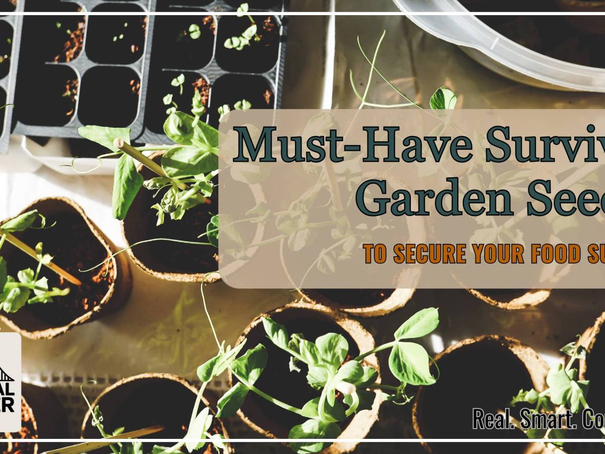 15 Must-Have Survival Seeds to Secure Your Food&nbsp;Supply